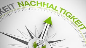Mit einem neuen Nachhaltigkeitspreis zeichnet das Bistum Fulda Projekte aus, die sich in besonderer Weise für die Bewahrung der Schöpfung einsetzen. Gemeinden, Gruppen, Verbände, Einrichtungen und Initiativen sind eingeladen, ihre Ideen und Aktivitäten bis zum 31. Oktober 2025 einzureichen. 